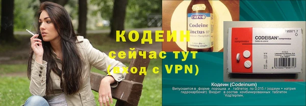 хмурый Богородск