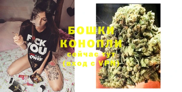 бошки Белокуриха