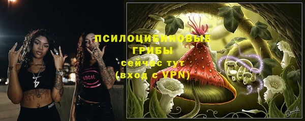 хмурый Богородск