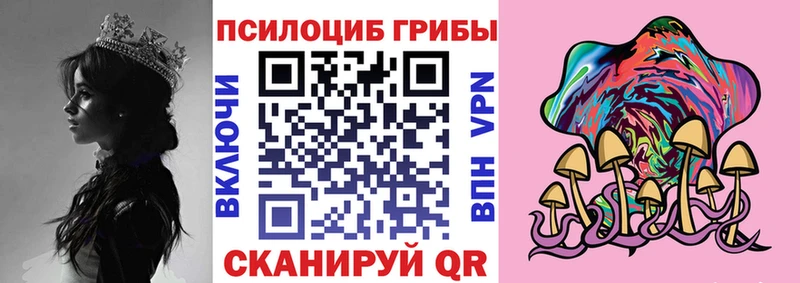Псилоцибиновые грибы GOLDEN TEACHER  Бугуруслан 